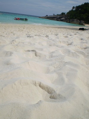 e0027447_23392739.jpg