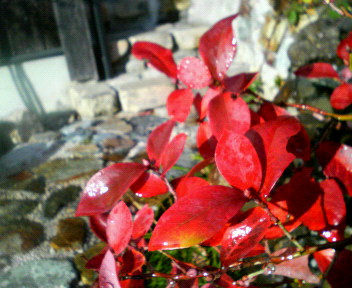 f0088647_2101729.jpg