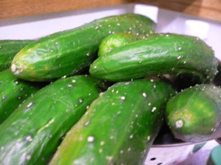 a0008549_17424697.jpg