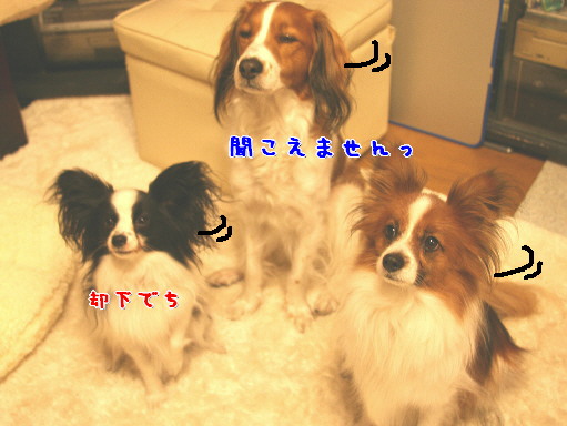 d0013149_0292515.jpg