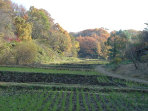 d0112350_23374429.jpg