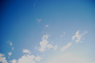 c0134861_4421888.jpg