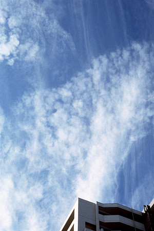 c0083364_117513.jpg