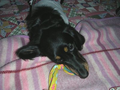 c0151866_844104.jpg