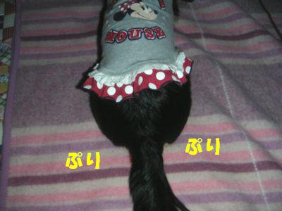 c0151866_915667.jpg