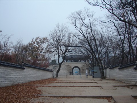c0155068_2342393.jpg