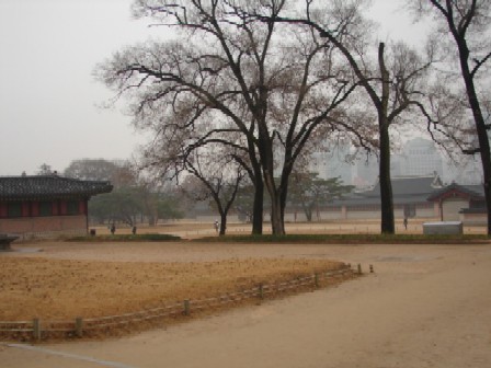 c0155068_23451199.jpg