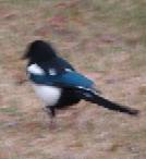 c0155068_23555139.jpg