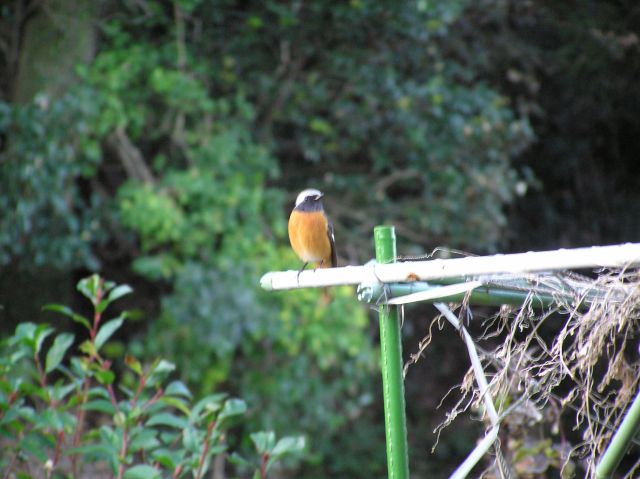 c0042869_22523161.jpg