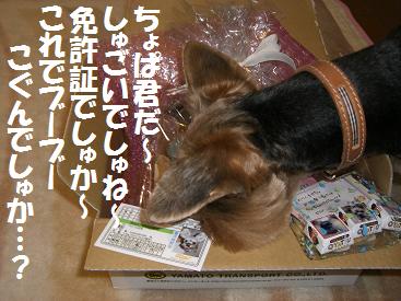 a0105570_23363920.jpg