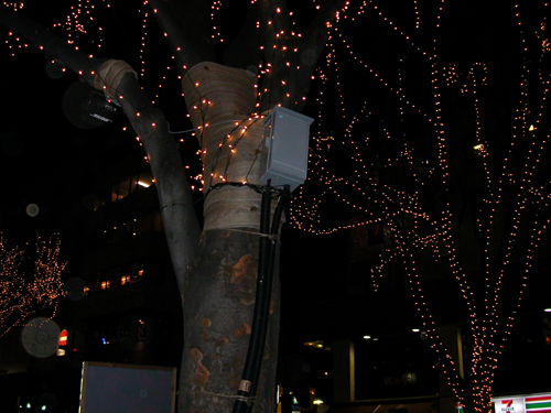 c0158573_20205693.jpg