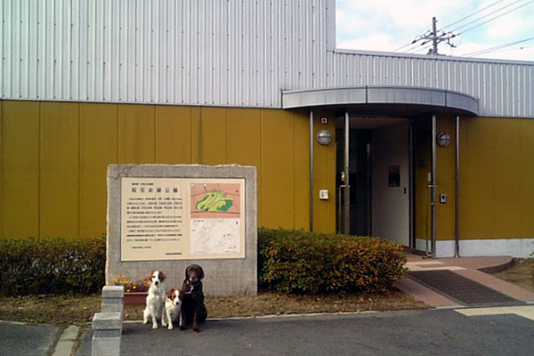 f0133681_20534712.jpg