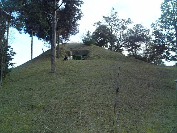 f0133681_2104945.jpg