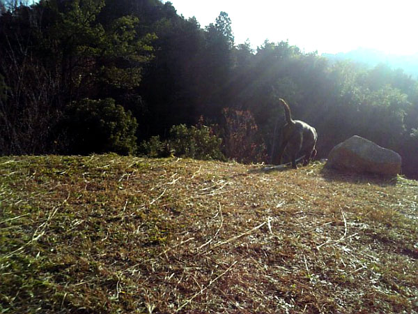 f0133681_2115977.jpg