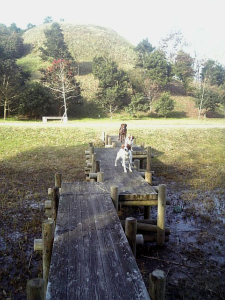 f0133681_2141382.jpg