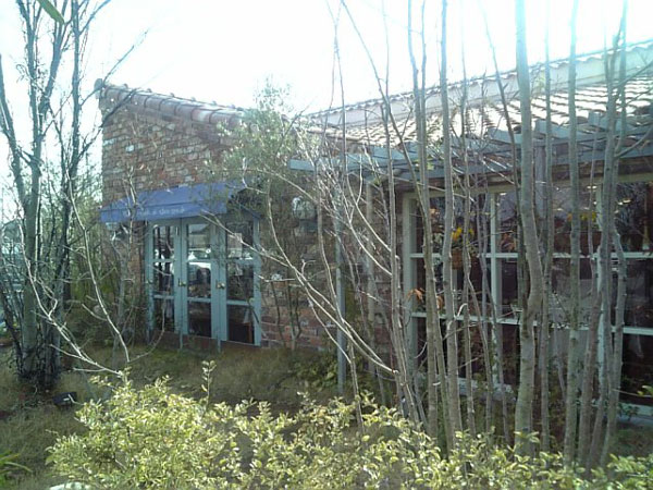 f0133681_2161585.jpg