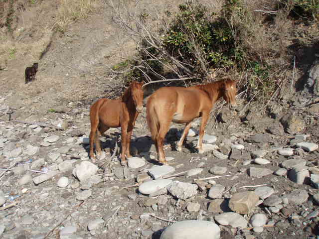 e0125483_0364185.jpg