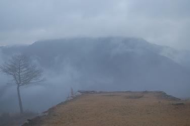 c0046587_021831.jpg