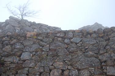 c0046587_071969.jpg