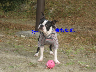 c0092787_10125758.jpg