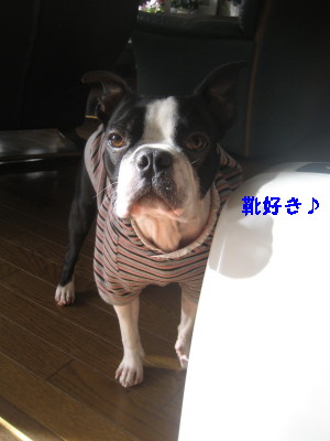 c0092787_1075023.jpg