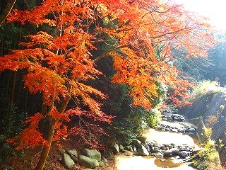 c0153292_0153983.jpg