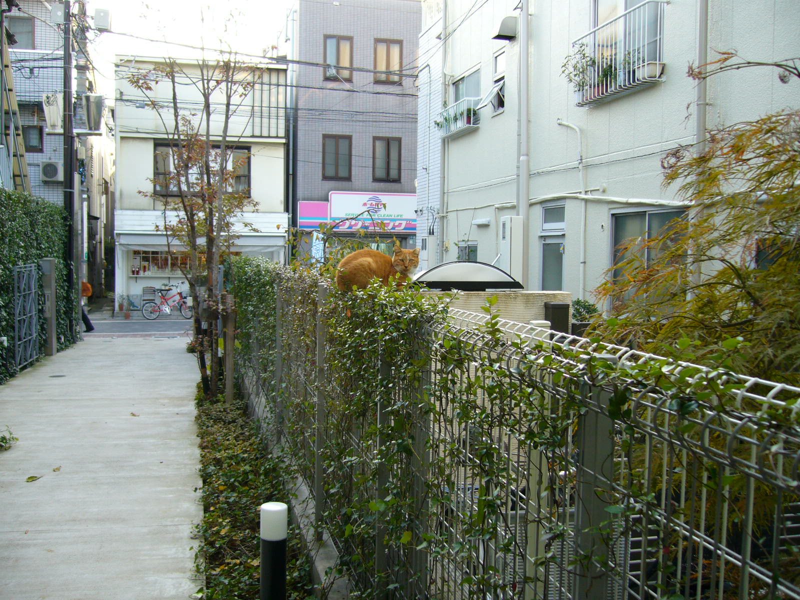 e0115994_2215677.jpg