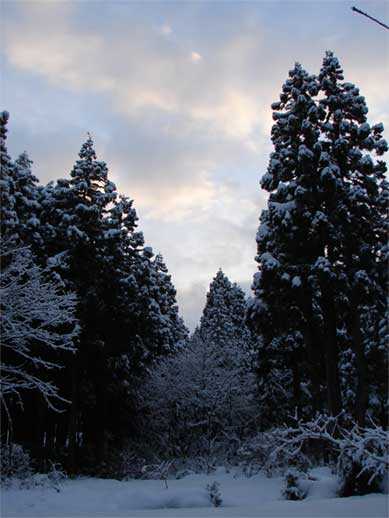 a0061599_7563288.jpg