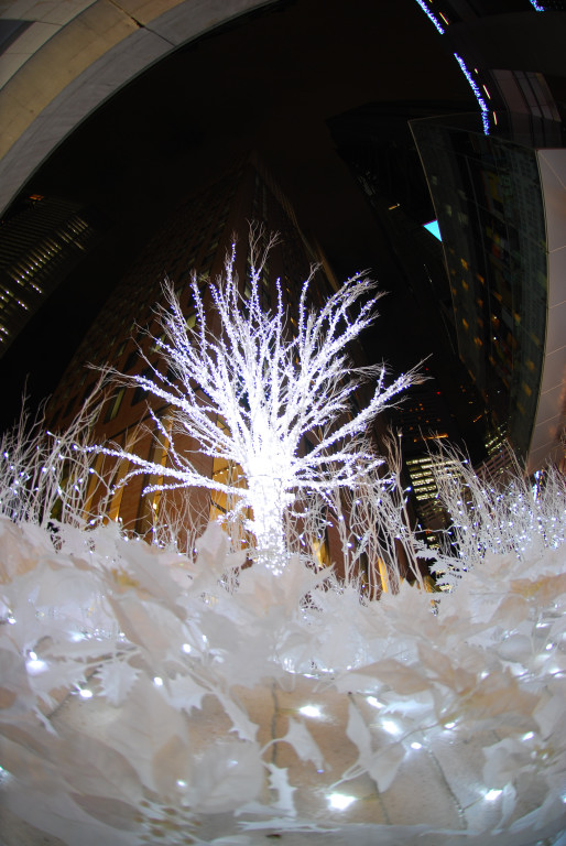 d0119505_1141184.jpg