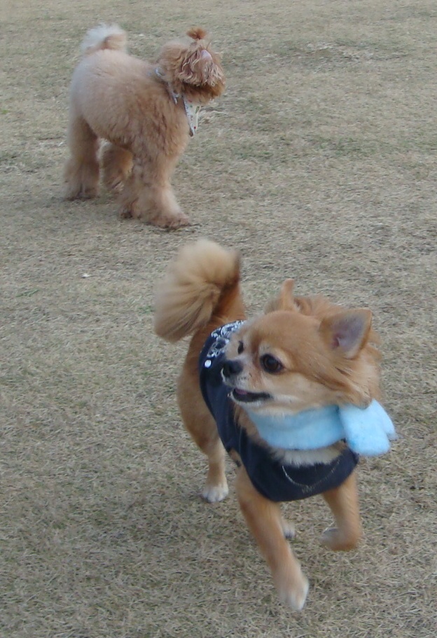 c0041207_22255588.jpg