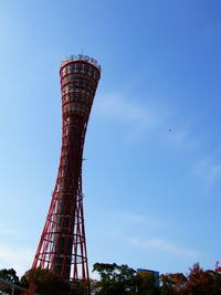 c0074809_4263690.jpg