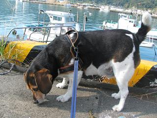 d0104209_2330447.jpg