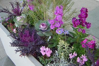 c0084117_2327971.jpg