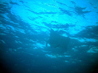f0142717_09639.jpg