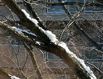 a0046429_9412480.jpg