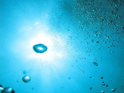 e0066733_13322988.jpg
