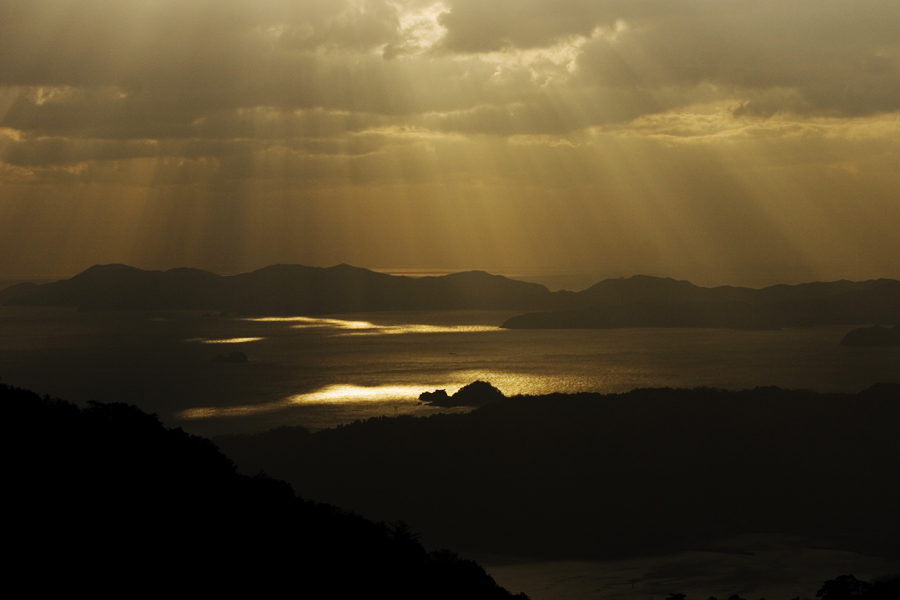 d0136836_2005140.jpg