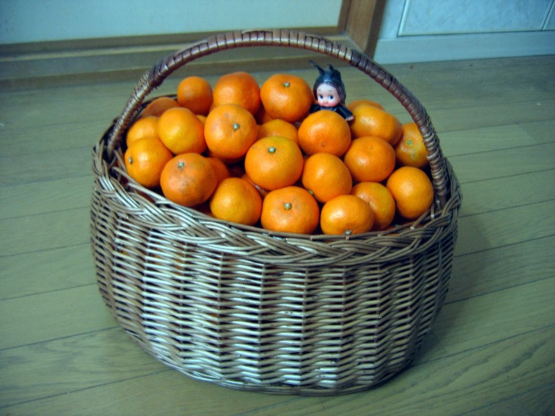 f0042441_1403460.jpg