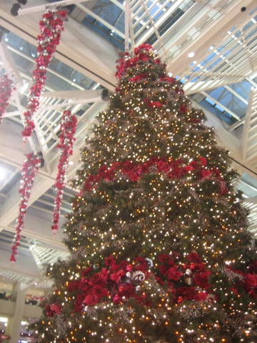 e0018143_4133429.jpg