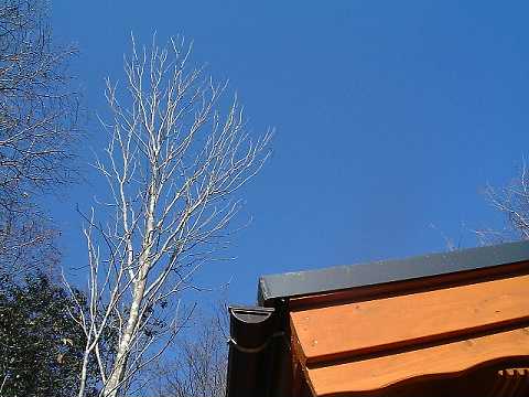 f0090444_204315.jpg
