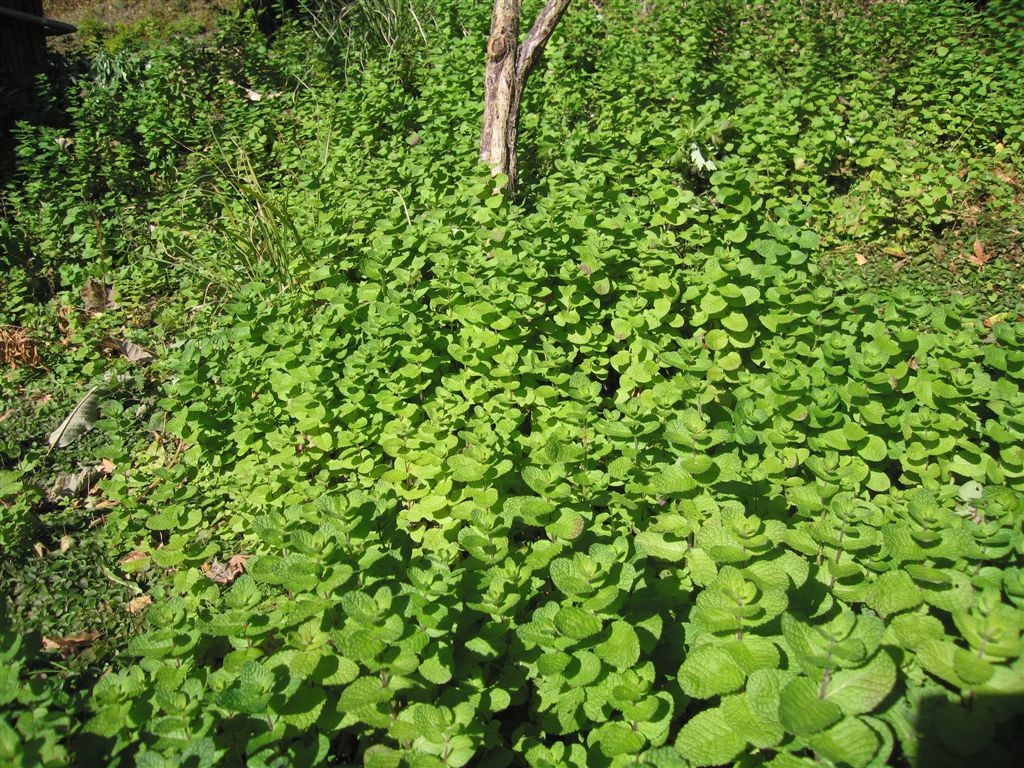 f0151044_10304733.jpg