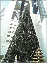 e0045847_22563078.jpg