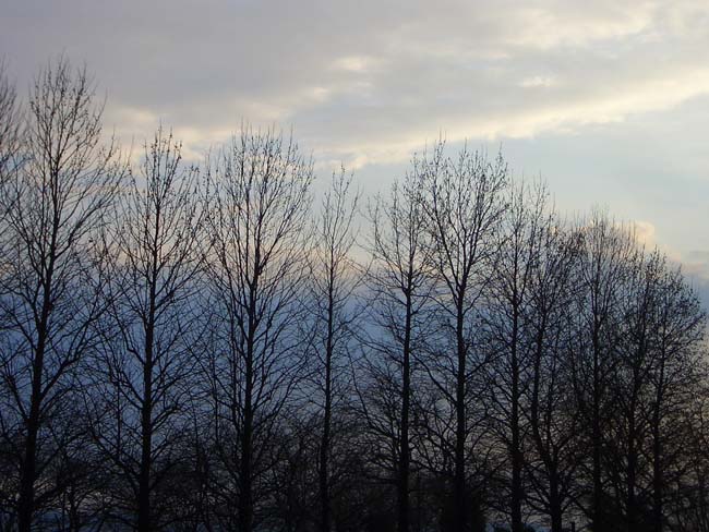 e0002850_23164893.jpg