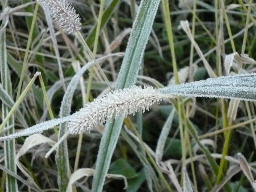 c0017259_92624.jpg