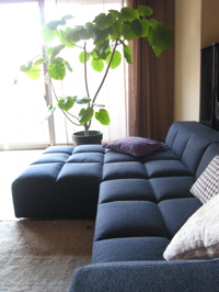 c0153259_201212100.jpg