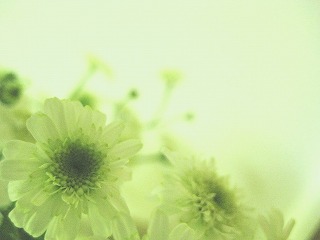 c0134861_21511395.jpg
