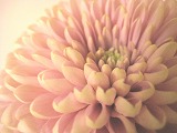 c0134861_21531284.jpg