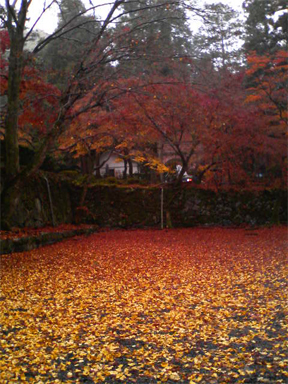 f0089079_4581595.jpg