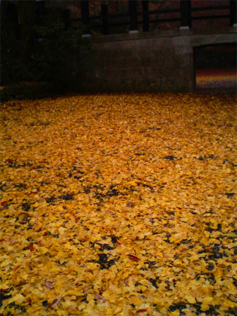 f0089079_4584358.jpg