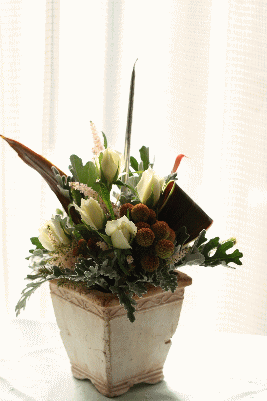 d0100192_2032263.gif